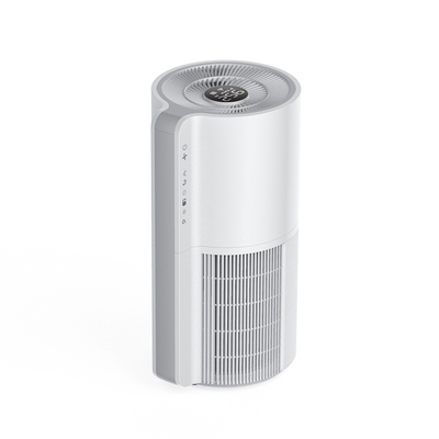 Commercial Hepa Whole Home Air Purifiers UV Sterilization and Disinfection