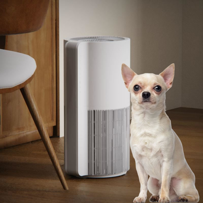 DC Motor Pet Air Purifier 300m3/H 3 Speed Adjustment