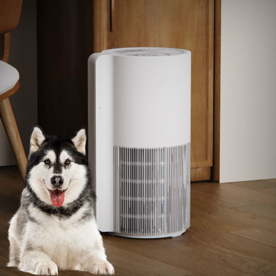 Tuya Control Small Room Pet Air Purifier For Hair And Mold Three Fan Speed