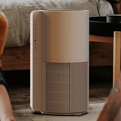 OEM Small Room Pet Air Purifier For Mold And Hair Removal