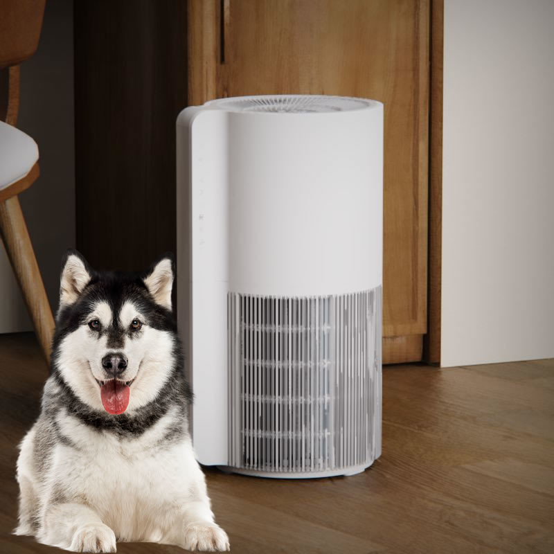 Tuya Control Small Room Pet Air Purifier For Hair And Mold Three Fan Speed